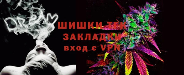 индика Семилуки