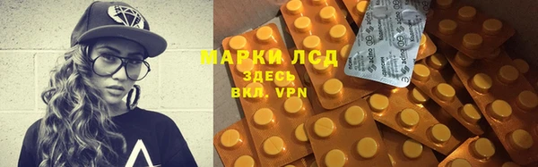 индика Семилуки