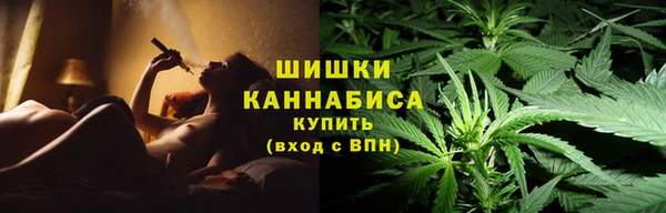 apvp Семёнов