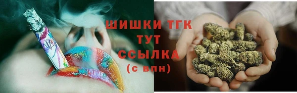 индика Семилуки