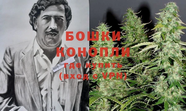 индика Семилуки