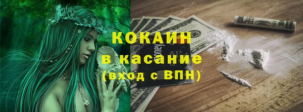индика Семилуки