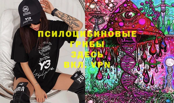 индика Семилуки