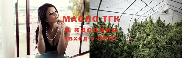 индика Семилуки