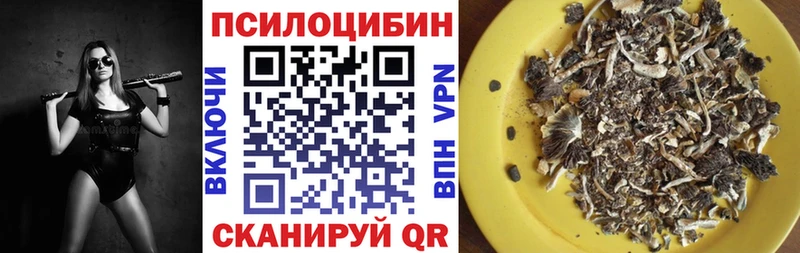 Галлюциногенные грибы мицелий  Тара 
