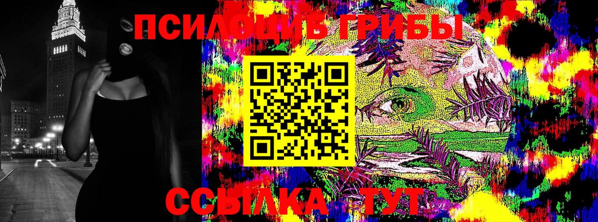 Псилоцибиновые грибы Psilocybe  Вход с VPN  Тара  Псилоцибиновые грибы Cubensis 