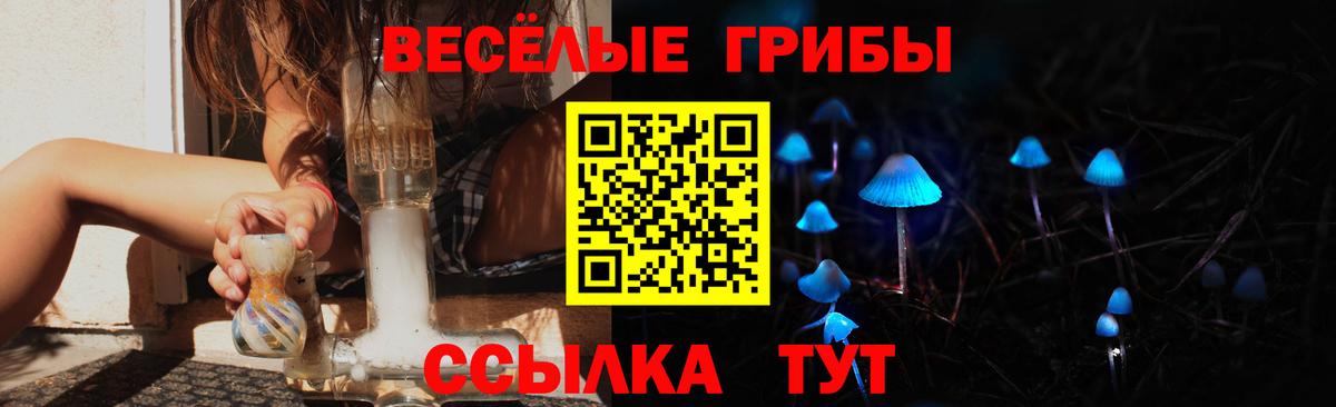 Псилоцибиновые грибы Psilocybe Тара